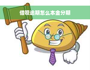 借呗逾期怎么本金分期