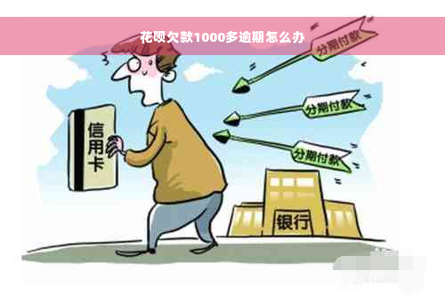 花呗欠款1000多逾期怎么办