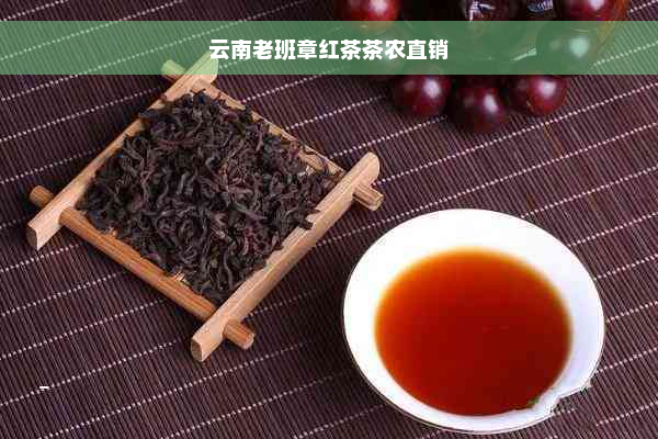 云南老班章红茶茶农直销