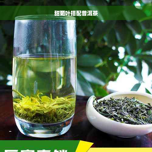 甜菊叶搭配普洱茶