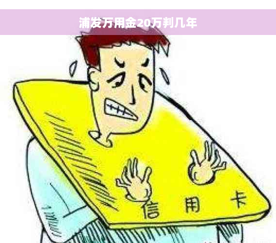 浦发万用金20万判几年