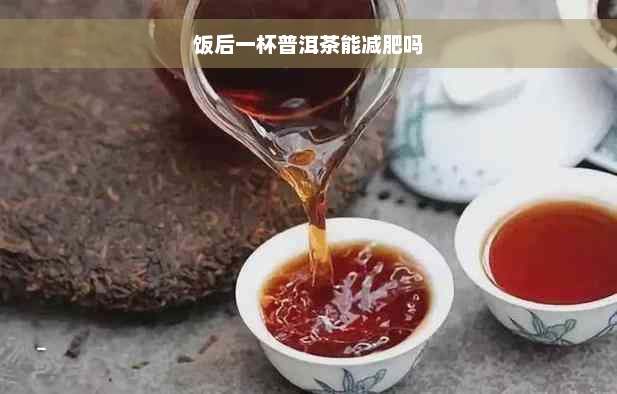 饭后一杯普洱茶能减肥吗