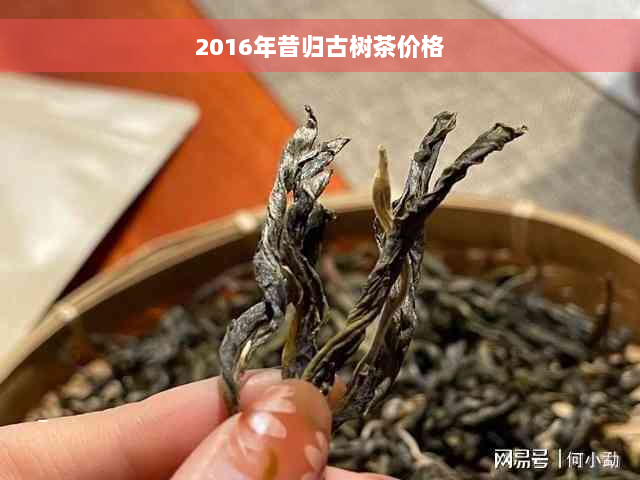 2016年昔归古树茶价格