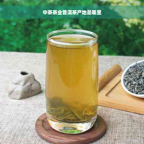 中茶茶业普洱茶产地是哪里