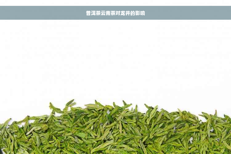 普洱茶云南茶对龙井的影响