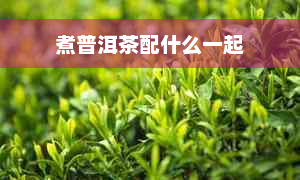 煮普洱茶配什么一起