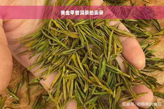 黄金甲普洱茶拍卖录