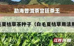 勐海普洱茶宫廷茶王