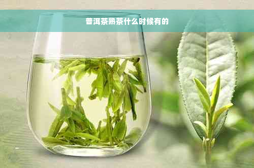 普洱茶熟茶什么时候有的