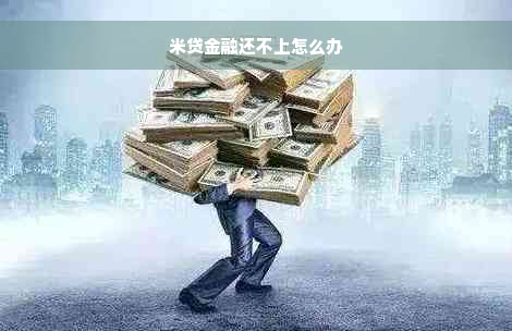 米贷金融还不上怎么办