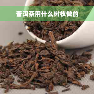 普洱茶用什么树枝做的