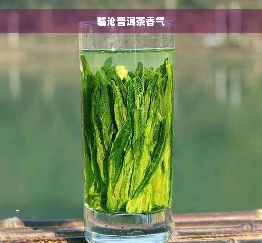 临沧普洱茶香气