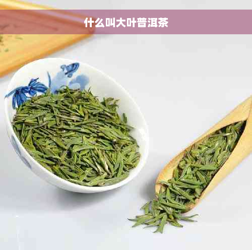 什么叫大叶普洱茶