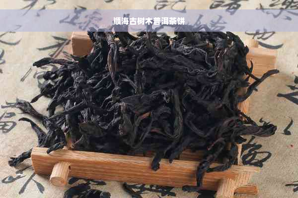 顺海古树木普洱茶饼