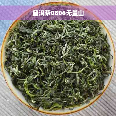 普洱茶0806无量山