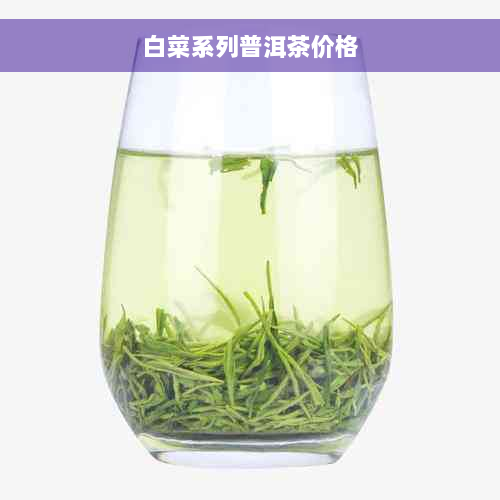 白菜系列普洱茶价格