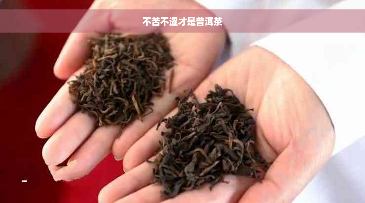 不苦不涩才是普洱茶