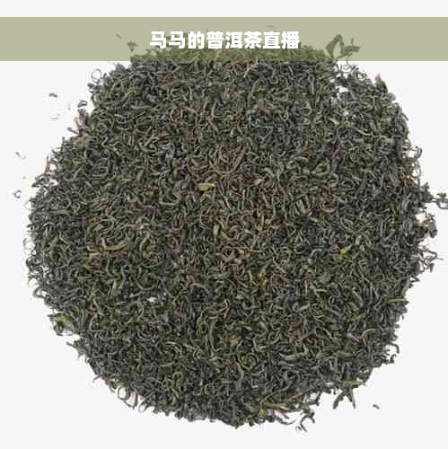 马马的普洱茶直播