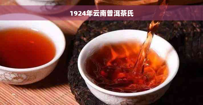 1924年云南普洱茶氏