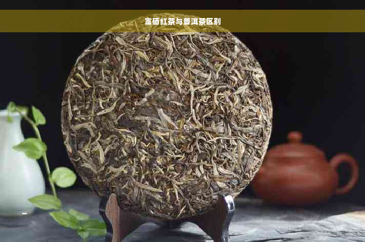 富硒红茶与普洱茶区别