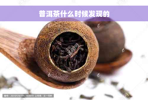 普洱茶什么时候发现的