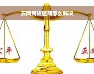 安网商贷逾期怎么解决