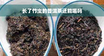 长了竹虫的普洱茶还能喝吗