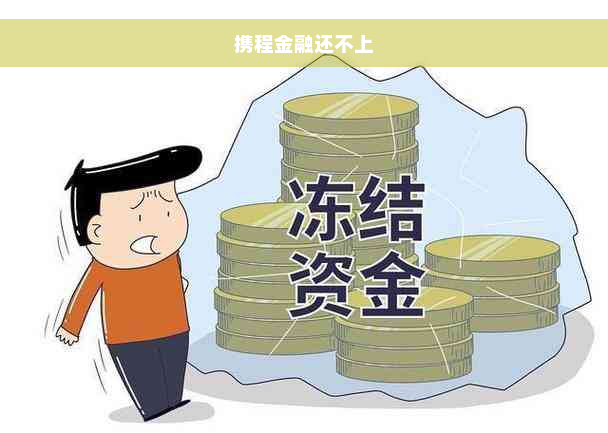 携程金融还不上