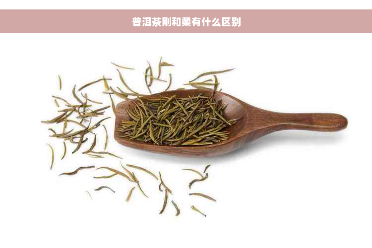 普洱茶刚和柔有什么区别