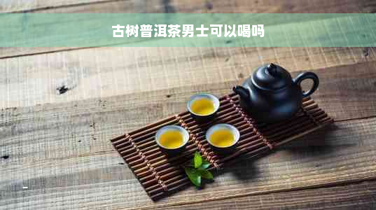 古树普洱茶男士可以喝吗