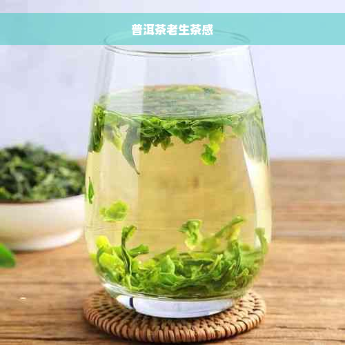 普洱茶老生茶感