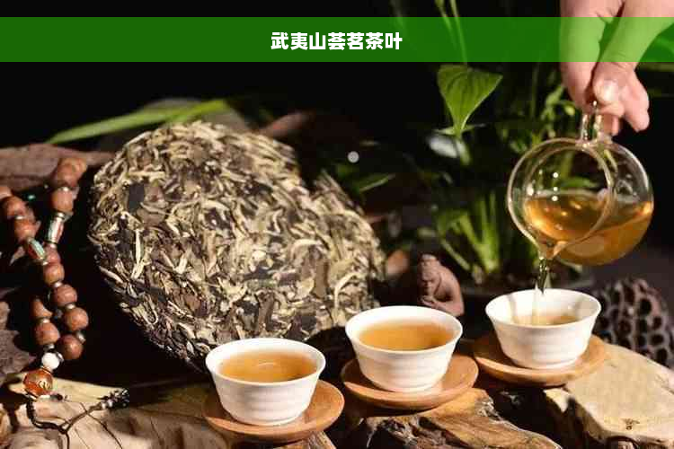 武夷山荟茗茶叶