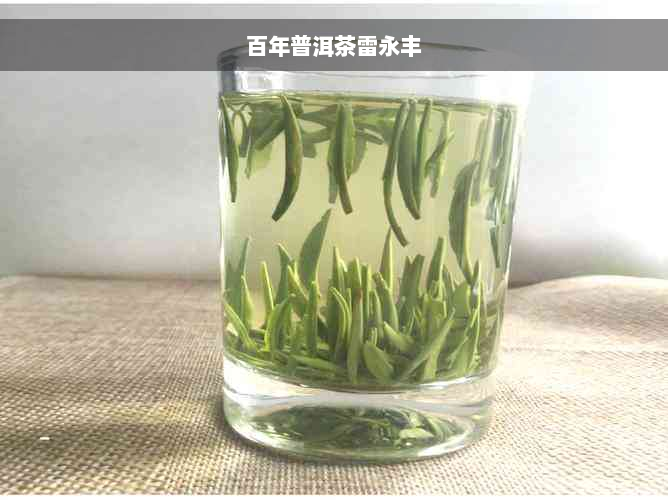 百年普洱茶雷永丰