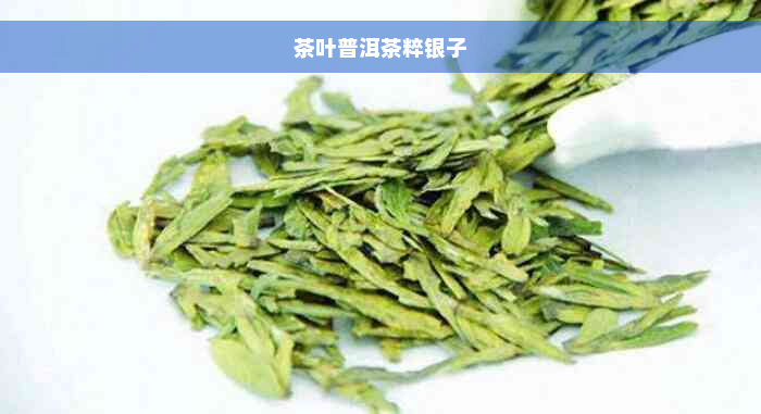 茶叶普洱茶粹银子