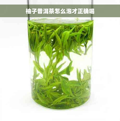 柚子普洱茶怎么泡才正确喝