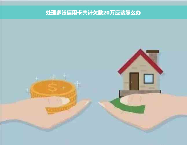 处理多张信用卡共计欠款20万应该怎么办