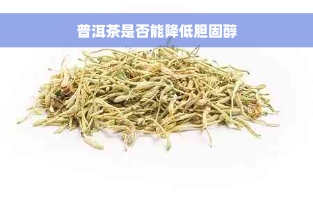 普洱茶是否能降低胆固醇