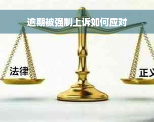 逾期被强制上诉如何应对