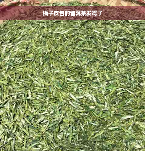 橘子皮包的普洱茶发霉了