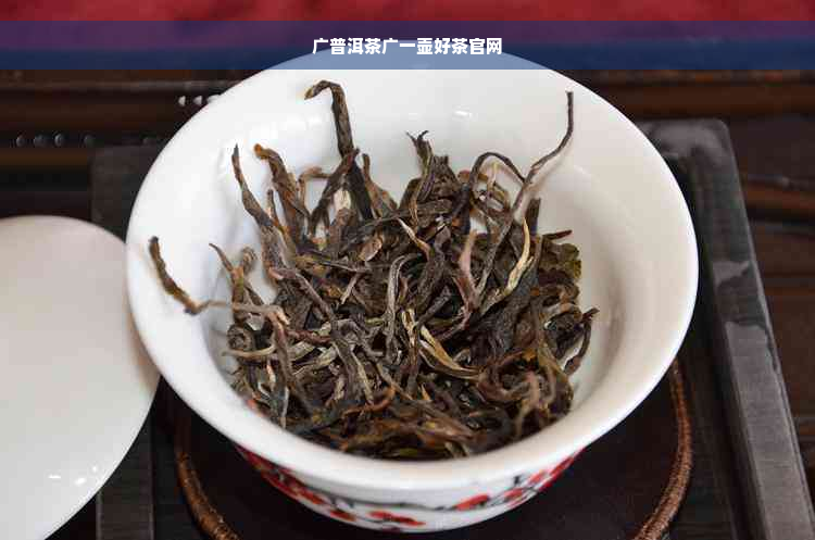 广普洱茶广一壶好茶官网