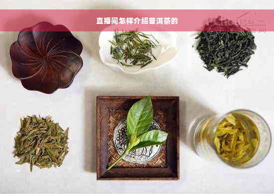 直播间怎样介绍普洱茶的