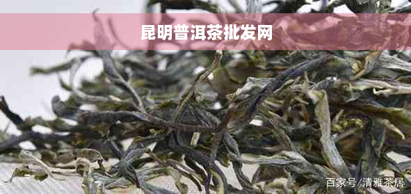 昆明普洱茶批发网