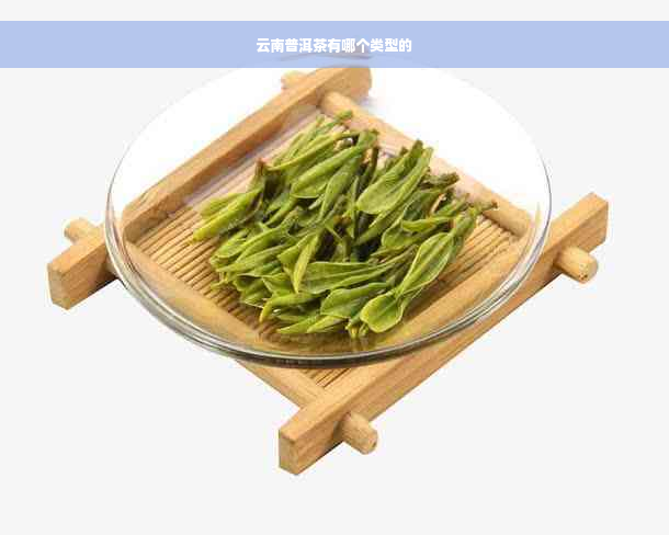 云南普洱茶有哪个类型的