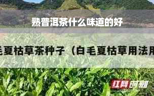 熟普洱茶什么味道的好