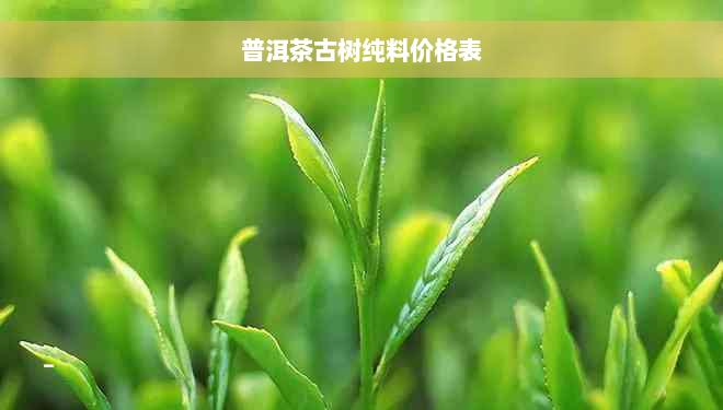 普洱茶古树纯料价格表