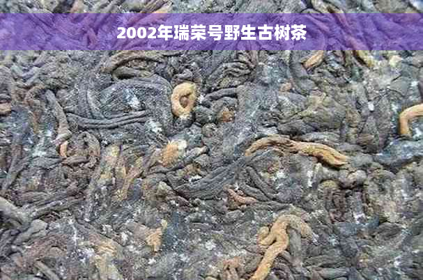 2002年瑞荣号野生古树茶