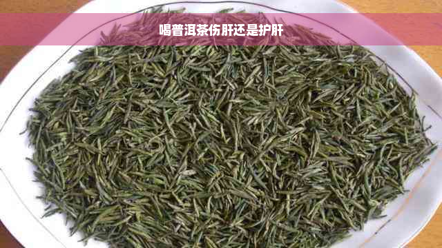 喝普洱茶伤肝还是护肝