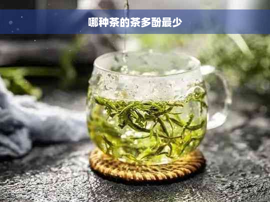 哪种茶的茶多酚最少