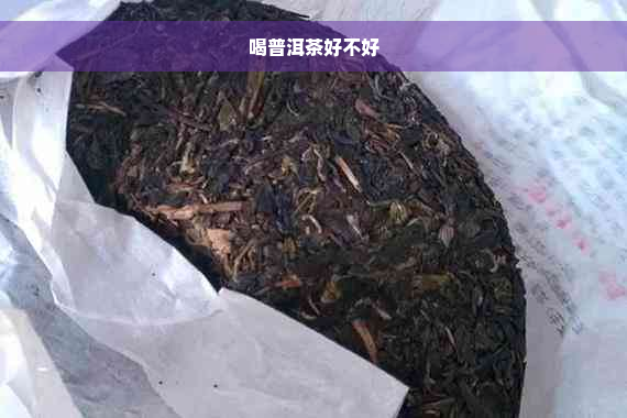 喝普洱茶好不好