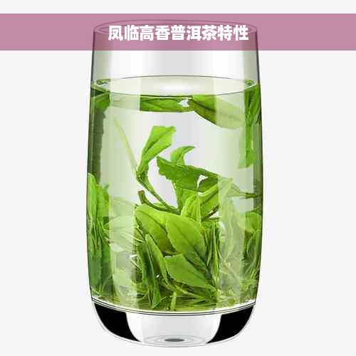 凤临高香普洱茶特性